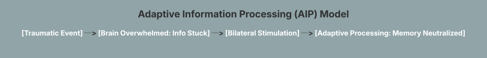 Adaptive Information Processing (AIP) Model - Verve BH